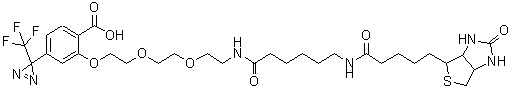 CAS#: 207971-23-1, 2-{[10,17-Dioxo-21-(2-oxohexahydro-1H-thieno[3,4-d]imidazol-4-yl)-3,6-dioxa-9,16-diazahenicos-1-yl]oxy}-4-[3-(trifluoromethyl)-3H-diaziren-3-yl]benzoic acid