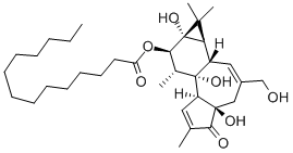 CAS 登录号：20839-06-9， 佛波醇-12-单肉豆蔻酸酯