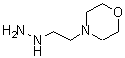 CAS 登录号：2154-24-7， 4-(2-肼基乙基)吗啉
