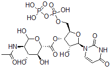 CAS#: 21654-37-5, Udp-N-Acetylglucosaminuronic Acid