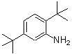 CAS#: 21860-03-7, 2,5-Bis(2-Methyl-2-Propanyl)Aniline