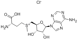 CAS 登录号：24346-00-7， S-腺苷-L-蛋氨酸氯化物