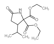 CAS 登录号：2445-91-2， 5-氧代-3-丙-2-基吡咯烷-2,2-二羧酸二乙酯