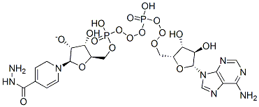 CAS 登录号：2668-07-7， 异烟酰酰肼腺嘌呤二核苷酸