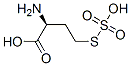 CAS 登录号：28715-19-7， S-磺基高半胱氨酸