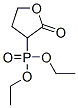 CAS 登录号：2907-85-9， (2-氧代四氢呋喃-3-基)膦酸二乙酯