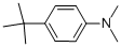 CAS 登录号：2909-79-7， 4-叔丁基-N,N-二甲基苯胺