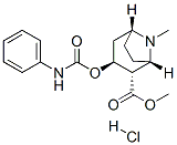 CAS#: 29364-13-4, Methyl (1S,2S,3S,5R)-8-Methyl-3-(Phenylcarbamoyloxy)-8-Azabicyclo[3.2. 1]Octane-2-Carboxylate Hydrochloride