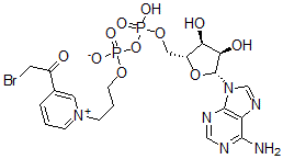 CAS 登录号：29486-87-1， 腺苷 5'-(三氢二磷酸酯) P'-[3-[3-(溴乙酰基)吡啶鎓]丙基]酯内盐