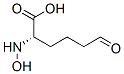 CAS 登录号：30382-02-6， (2S)-2-(羟基氨基)-6-氧代己酸