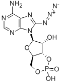 CAS 登录号:31966-52-6, 8-叠氮基腺苷-3',5'-环单磷酸酯