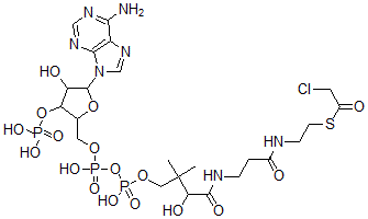 CAS#: 34201-15-5, S-[2-[3-[[4-[[[5-(6-Aminopurin-9-Yl)-4-Hydroxy-3-Phosphonooxyoxolan-2-Yl]Methoxy-Hydroxyphosphoryl]Oxy-Hydroxyphosphoryl]Oxy-2-Hydroxy-3,3-Dimethylbutanoyl]Amino]Propanoylamino]Ethyl] 2-Chloroethanethioate