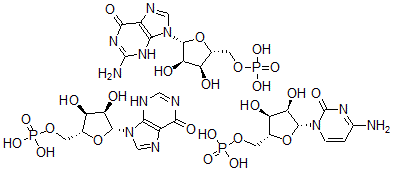 CAS 登录号：34607-23-3， 5'-鸟苷酸与5'-肌苷酸的聚合物与5'-胞苷酸均聚物的络合物(1:1)