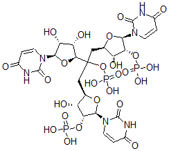 CAS#: 3504-15-2, [2-[(2S,3S,4R,5R)-5-(2,4-Dioxopyrimidin-1-Yl)-3,4-Dihydroxyoxolan-2-Yl]-1,3-Bis[(2R,3R,4R,5R)-5-(2,4-Dioxopyrimidin-1-Yl)-3-Hydroxy-4-Phosphonooxyoxolan-2-Yl]Propan-2-Yl] Dihydrogen Phosphate