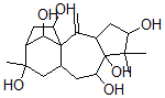 CAS#: 35928-08-6, (3beta,6beta,11alpha,14R)Grayanotox-10(20)-Ene-3,5,6,11,14,16-Hexol