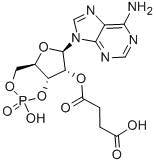 CAS#: 36940-87-1, 2'-O-Monosuccinyladenosine 3',5'-Cyclic Monophosphate