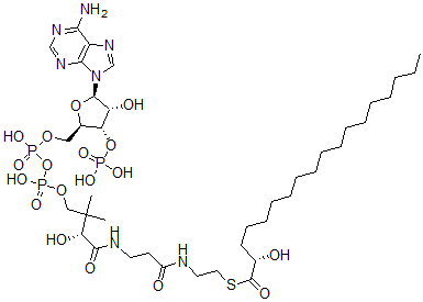 CAS#: 38861-93-7, S-[2-[3-[[(2R)-4-[[[(2R,3S,4R,5R)-5-(6-Aminopurin-9-Yl)-4-Hydroxy-3-Phosphonooxyoxolan-2-Yl]Methoxy-Hydroxyphosphoryl]Oxy-Hydroxyphosphoryl]Oxy-2-Hydroxy-3,3-Dimethylbutanoyl]Amino]Propanoylamino]Ethyl] (2S)-2-Hydroxyoctadecanethioate