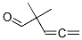 CAS#: 4058-51-9, 2,2-Dimethylpenta-3,4-Dienal
