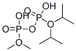 CAS#: 40731-72-4, Diphosphoric Acid P1,P1-Dimethyl P2,P2-Bis(1-Methylethyl) Ester