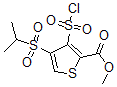 CAS 登录号：423768-47-2， 3-(氯磺酰基)-4-[(1-甲基乙基)磺酰基]-2-噻吩羧酸甲酯