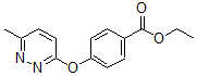 CAS#: 423768-61-0, 4-[(6-Methyl-3-Pyridazinyl)Oxy]-Benzoic Acid Ethyl Ester