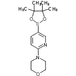 CAS 登录号：494771-62-9， 4-[5-(4,4,5,5-四甲基-1,3,2-二氧杂环戊硼烷-2-基)-2-吡啶基]吗啉