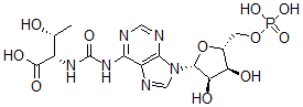 CAS 登录号:49709-17-3, N-(嘌呤-6-基氨基甲酰)-L-苏氨酸核糖核苷 5'-磷酸酯