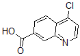 CAS 登录号：49713-58-8， 4-氯-7-喹啉羧酸
