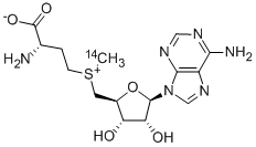 CAS 登录号：4989-98-4， 5'-[[(3S)-3-氨基-3-羧基丙基]甲基-14C-锍]-5'-脱氧-腺苷内盐