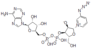 CAS 登录号：50695-15-3， 3-叠氮基吡啶-腺嘌呤二核苷酸