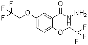 CAS 登录号：50778-75-1， 2,5-二(2,2,2-三氟乙氧基)苯甲酰肼