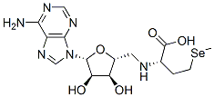 CAS 登录号：5134-38-3， 腺苷硒基蛋氨酸
