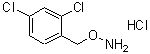 CAS#: 51572-93-1, 1-[(Aminooxy)Methyl]-2,4-Dichlorobenzene Hydrochloride