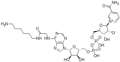 CAS#: 52213-58-8, Nicotinamide-N(6)-(N-(6-aminohexyl)carbamoylmethyl)adenine dinucleotide