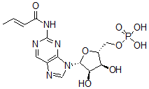 CAS#: 52246-50-1, Monobutyryl Cyclic Gmp