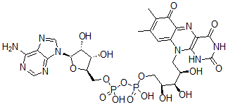 CAS 登录号:52301-43-6, 6-羟基-黄素腺嘌呤二核苷酸