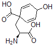 CAS 登录号：53078-86-7， 前酪氨酸