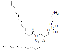 CAS 登录号：53695-34-4， 1,2-二月桂酰磷脂酰乙醇胺