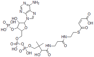 CAS 登录号：54377-18-3， 马来酰-辅酶 A