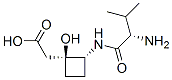 CAS#: 55051-90-6, (1S,2R)-2-[[(S)-2-Amino-3-Methyl-1-Oxobutyl]Amino]-1-Hydroxycyclobutaneacetic Acid