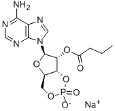 CAS#: 55443-13-5, [6-(6-Aminopurin-9-yl)-2-hydroxy-2-oxo-4a,6,7,7a-tetrahydro-4H-furo[3, 2-d][1,3,2]dioxaphosphinin-7-yl] butanoate Sodium Salt