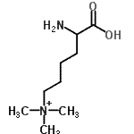 CAS 登录号：55528-53-5， N-(5-氨基-5-羧基戊基)-N,N-二甲基甲铵