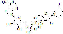 CAS#: 56541-70-9, (2R,3R,4S,5R)-5-[[[[(2R,3S,4R,5R)-5-(6-Aminopurin-9-Yl)-3,4-Dihydroxyoxolan-2-Yl]Methoxy-Hydroxyphosphoryl]Oxy-Hydroxyphosphoryl]Oxymethyl]-4-Hydroxy-2-(3-Iodopyridin-1-Ium-1-Yl)Oxolan-3-Olate