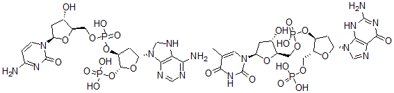CAS 登录号：57683-27-9， 胸苷酰-(5'-3')-2'-脱氧-5'-鸟苷酸与 2'-脱氧胞苷酰-(5'-3')-2'-脱氧-5'-腺苷酸络合物