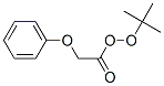 CAS 登录号：5789-77-5， 苯氧基过氧乙酸叔丁酯