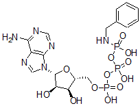 CAS 登录号：58026-10-1， 三磷酸腺苷 gamma-苄基酰胺