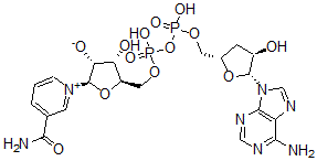 CAS 登录号：60902-13-8， 3'-脱氧烟酰胺腺嘌呤二核苷酸
