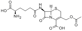 CAS 登录号：61-24-5， 7-(5-氨基-5-羧基戊酰胺基)头孢烷酸