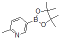 CAS#: 610768-32-6, 6-Methylpyridine-3-boronic acid pinacol ester