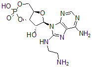 CAS#: 61363-29-9, 8-[(2-Aminoethyl)Amino]-Adenosine Cyclic 3',5'-(Hydrogen Phosphate)